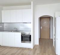 Studio apartment with a kitchenette, white cabinets, and a wood-patterned floor.