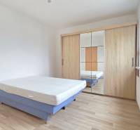 Studio apartment with a bed, built-in wardrobe, and floor with wood decor.