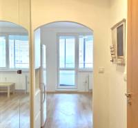 Bright studio apartment with wood-patterned flooring and large windows.