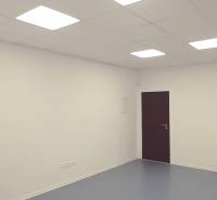 Office with white walls, dark doors, and ceiling lights.
