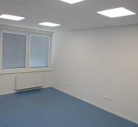 Offices with blue carpet, white walls, and ceiling lighting.