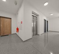 Entrance hallway with doors and an elevator in a 4-room apartment, floor with wood decor.