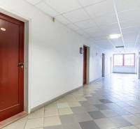 A tiled corridor leads to offices with wooden doors.