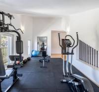 Interior of a fitness center in a villa with exercise machines and a large mirror.