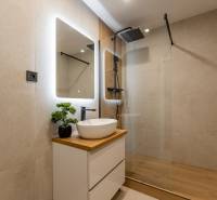 A bathroom with a modern shower, mirror, and sink in a 2-room apartment.