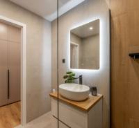 Bathroom in a 2-room apartment with a lighted mirror, sink, and floor with a wooden decor.