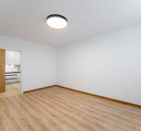 A spacious room in a 2-room apartment with a wood-decor floor and an entrance to the kitchen.