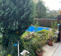 The garden of the cottage in Košice - Vyšné Opátske district with a swimming pool and plants.