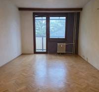A room with a wooden floor decor, a large window, and a radiator in a 2-room apartment.