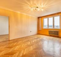 2-room apartment with wood-patterned flooring and a large window, orange walls.