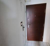 The entrance door to a one-room apartment with tiles and white walls.