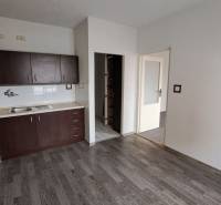 A kitchen with dark cabinets and a wood-patterned floor in a studio apartment.