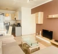 Living room in a two-room apartment with a sofa, TV, kitchen, and wooden decor flooring.