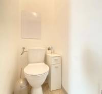 Toilet with cabinet, fan, and floor with wood decor in a 2-room apartment.