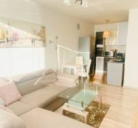 Living room with a sofa and kitchen, 2-room apartment, floor with wood decor.