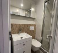 Bathroom in a studio apartment with a sink, shower, and mirrored cabinet.
