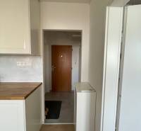A hallway with a kitchen unit and a wooden decor floor in a studio apartment.