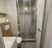Compact bathroom with a modern shower enclosure and wall-hung toilet in a studio apartment.