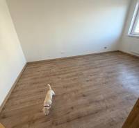A room in a two-bedroom apartment with a wood-patterned floor and a small dog.