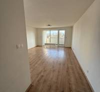 A bright living room with wood-patterned flooring in a two-room apartment.