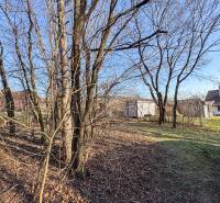 A garden with bare trees and houses on Ambrova Street in the vineyards in Nitra.