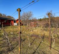Vineyards on Ambrova Street in Nitra with cottages and management.