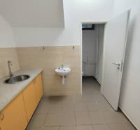 Interior of commercial spaces with a sink and a kitchen unit with a basin.