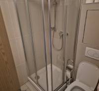 Shower corner and toilet in the bathroom of a studio apartment.
