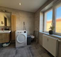 Bathroom in a 2-room apartment with a dryer, sink, and a large window with a plant.