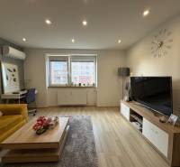 Living room in a two-room apartment with a wood-patterned floor, a couch, and a television.