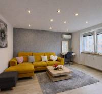 Living room in a two-room apartment with a sofa, wooden decor flooring, gray carpet.