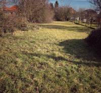A grassy plot with bushes and trees, suitable for a family house in Horné Chlebany.