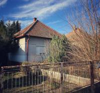 A family house in Horné Chlebany with a large tree and a fence, blue sky.