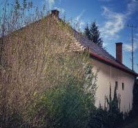 A family house in Horné Chlebany surrounded by dense greenery and thick trees.