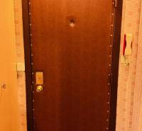 Entrance door to a 2-room apartment with a wood decor on the floor.