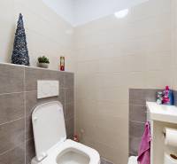 A toilet with tiles and a sink in a family house.