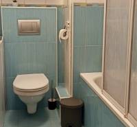 Bathroom in a 2-room apartment with blue tiles, a wall-mounted toilet, and a bathtub with a screen.