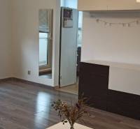 Living room in a two-room apartment with a wooden decor floor and furniture.