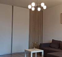 Living room with a sofa, table, and wooden decor flooring in a two-room apartment.