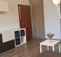 Living room in a two-room apartment with a wooden decor floor and modern furniture.