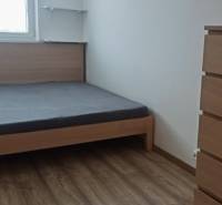 Bedroom in a 2-room apartment with a bed, wooden decor flooring, dresser, and shelves.