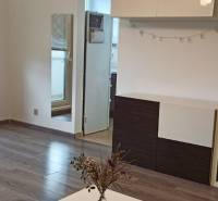 Living room in a two-room apartment with a wooden decor floor and access to the balcony.