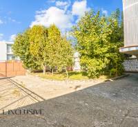 5 - 2025-10-20T135823.611.jpg