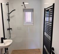 Bathroom in a 2-room apartment with wood-patterned flooring, a shower, and a window.