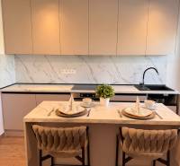 A kitchen with a bar counter, a wooden decor floor, and light furniture in a two-room apartment.