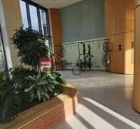 A reception with large windows and a bike rack, surrounded by plants.
