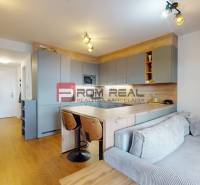 Two-room apartment with wood-patterned flooring, kitchen and living room with a sofa.