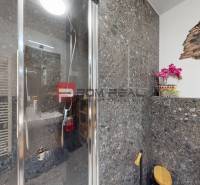 Bathroom in a 2-room apartment with a shower, decorative stones, and floral decoration.