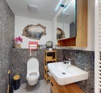 Bathroom in a 2-room apartment with decorative tiles and a mirrored cabinet.