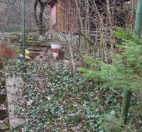 Chata na Výtockej ulici v Moravanoch nad Váhom obklopená stromami a krami.